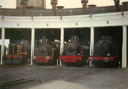 Chemin De Fer à Vapeur Des 3 Vallées . CHIMAY-MARIMBOURG-TREIGNES ; Dépôt Rotonde Locos 9008 SA03 MF83 NE61 - Materiale