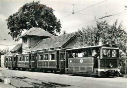 Musée Du Tramway SCHEPDAAL . Type De Train à Vapeur Vicinal 1920 . Trammuseum - Equipment