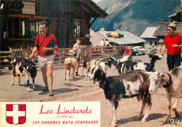 LES LINDARETS .  LES CHEVRES AUTOSTOPEUSES … - Andere & Zonder Classificatie