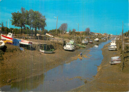 LA TREMBLADE .  Le Canal à Marée Basse - La Tremblade