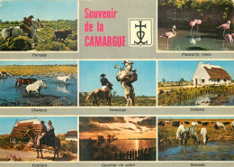 Souvenir De La CAMARGUE . CP Multivues - Altri & Non Classificati