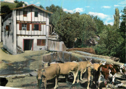 CAMBO Les BAINS .  Le Vieux Cambo - Cambo-les-Bains