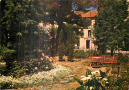 LE BOULOU . Le Parc Des Thermes . Collection MAISON BLANQUIER - Autres & Non Classés