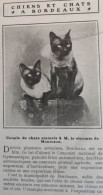 1905 EXPOSITION FÉLINE ET CANINE À BORDEAUX - LA VIE AU GRAND AIR - Other & Unclassified