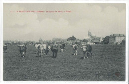 CPA - Troupeau De Bœuf En Prairie- La Ferté Bernard (72) - Autres & Non Classés