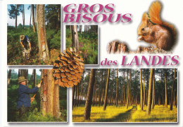 Gros Bisous Des Landes - Other & Unclassified
