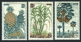 Cambodia 112-114-offset,MNH. Mi 143-145. Pineapples,Sugar Cane,Sugar Palms,1962. - Cambogia