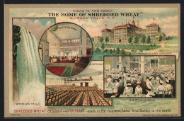 Lithographie Niagara Falls, NY, Shredded Wheat Biscuit And Triscuite, Reklame, Building And Grounds  - Sonstige & Ohne Zuordnung