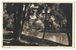 31 Toulouse -les Bords De La Garonne Au Parc Toulousain - Toulouse