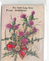 MIKIBP12-058- ROYAUME UNI ECOSSE FOR AULD LANG SYNE FROM DUMFRIES FLEURS CARTE SYSTEME - Dumfriesshire
