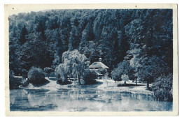 31  Luchon - Le Parc Des  Quinconces Et La Buvette Du Pre - Luchon