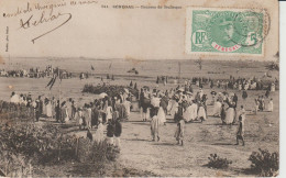 2420-239  Av 1905 N°511 Sénégal Courses De Rufisque Fortier Photo Dakar   Retrait 01-06 - Senegal