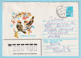 USSR 1981.1013. New Year Greetings (birds). Prestamped Cover, Used - 1980-91