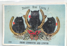 MIKIBP12-060- ROYAUME UNI THREE FOR LUCK FROM LYNMOUTH AND LYNTON TROIS CHATS NOIR CARTE SYSTEME - Other & Unclassified