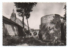 Carte Postale Moderne - 15 Cm X 10 Cm - Circulé - Dép. 77 - NANGIS - Anciens Fossés, Vestiges Du Château - Nangis