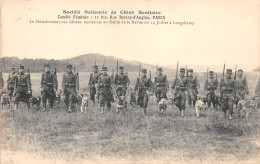 Guerre 1914-18  -  Société Nationale Du Chien Sanitaire  - Détachement Des Chiens Au Défilé Du 14 Juillet à LONGCHAMP - Oorlog 1914-18