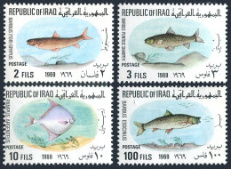 Iraq 491-494, Hinged. Michel 548-551. Fish 1969. - Iraq