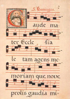 Delcampe - AVEIRO - Museu De Aveiro, Página De Um Livro De Cantochão Do Convento De Jesus  (2 Scans) - Aveiro