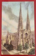 Uncirculated Postcard - USA - NY, NEW YORK CITY - SAINT PATRICK'S CATHEDRAL - Iglesias