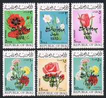 Iraq 538-543, Hinged. Michel 595-600. Flowers 1970. Spring Festival, Mosul. - Iraq