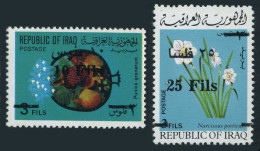 Iraq 725-726, MNH. Mi 808-809. Pomegranates, Poet's Narcissus. New Value 1975. - Irak