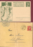 SUIZA  HISTORIA POSTAL - Briefe U. Dokumente