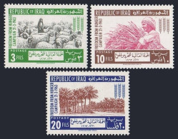 Iraq 333-335,335a, MNH. Mi 367-369, Bl.4. FAO 1963. Freedom From Hunger Campaign - Iraq