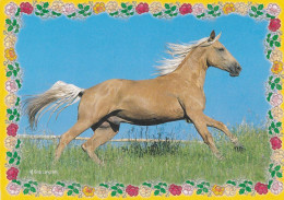Horse - Cheval - Paard - Pferd - Cavallo - Cavalo - Caballo - Häst - Chevaux