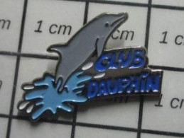 1818B Pin's Pins / Beau Et Rare : SPORTS / DAUPHIN GRIS CLUB NATATION - Swimming