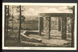 AK Altenkirchen/ Westerwald 1929 Kriegerdenkmal Auf Dem Dorn (PK0824 - Andere & Zonder Classificatie