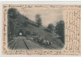 Busteni - Tunelul De La Busteni ,Salutari Din Romania - Rumänien