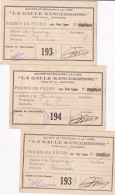 3 PERMIS DE PECHER, SANCERRE 1939, 1940,1941. DONT UNE AVEC UN CACHE ALLEMAND - Documenti Storici