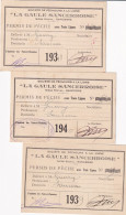 3 PERMIS DE PECHER, SANCERRE 1939, 1940,1941. DONT UNE AVEC UN CACHE ALLEMAND - Documents Historiques