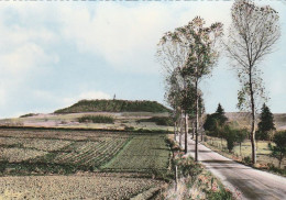 49 - Notre-Dame-de-Sion  -  Vue Générale - Autres & Non Classés