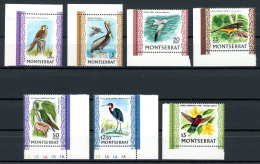 Montserrat Lot Aus 230-42 Postfrisch Vögel #GU602 - Anguilla (1968-...)