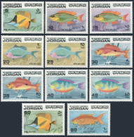 Jordan 758-768,MNH.Michel 896-906. Various Red Sea Fishes,1974. - Jordania