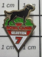 1818B  Pin's Pins / Beau Et Rare / ANIMAUX / CHIEN NOIR ROYAL CANIN SELECTION N°7 - Dieren