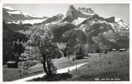 SUISSE - Am Col De Pillon - Vue Générale - Carte Postale - Sonstige & Ohne Zuordnung