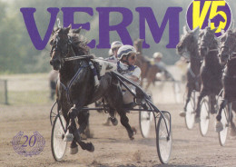 Horse - Cheval - Paard - Pferd - Cavallo - Cavalo - Caballo - Häst - Ravit - Vermo V5 - 20 Years Old - 1978 - 1998 - Horses