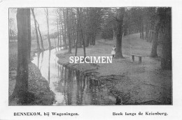 Prent - Beek Langs De Keienberg - Bennekom  - 8.5x12.5 Cm - Autres & Non Classés