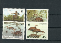 Bahamas 672-75 Postfrisch Enten Vögel #JL257 - Bahama's (1973-...)