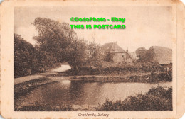 R358362 Selsey. Crablands. S. Woodland. 1917 - World