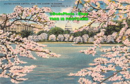 R358417 Washington. D. C. United States Capitol And The Cherry Blossoms. The Was - World