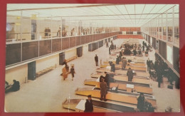 Uncirculated Postcard - USA - NY, NEW YORK CITY - STRAMLINED CUSTOMS FACILITIES, NEW YORK INTERNATIONAL AIRPORT - Aeroporti