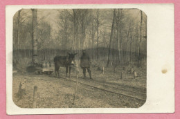 ELSASS - LOTHRINGEN - Carte Photo - Feldbahn - Wagonet Tiré Par Un Ane - Esel - Ravitaillemant - Guerre 14/18 - 3 Scans - Guerre 1914-18