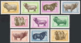 Mongolia 149-157,MNH. Mi 138-147. 1958. Goat,Ram,Stallion,Bull,Bactrian Camel. - Mongolia