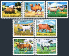 Mongolia 643-649, MNH. Mi 660-666. Livestock Breeding, 1971. Yaks, Camel, Sheep, - Mongolie