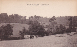 Mont Noir Coté Sud - Other & Unclassified
