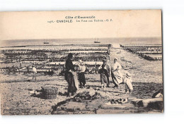 CANCALE - Les Parcs Aux Huîtres - Très Bon état - Cancale