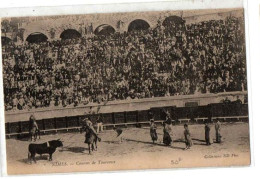 NIMES COURSES DE TAUREAUX TRES ANIMEE - Nîmes